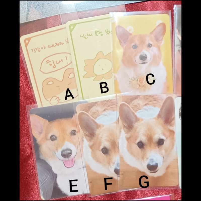 Teolaegi Baekhyun lucky card Mongryong Mongmong Photocard PC