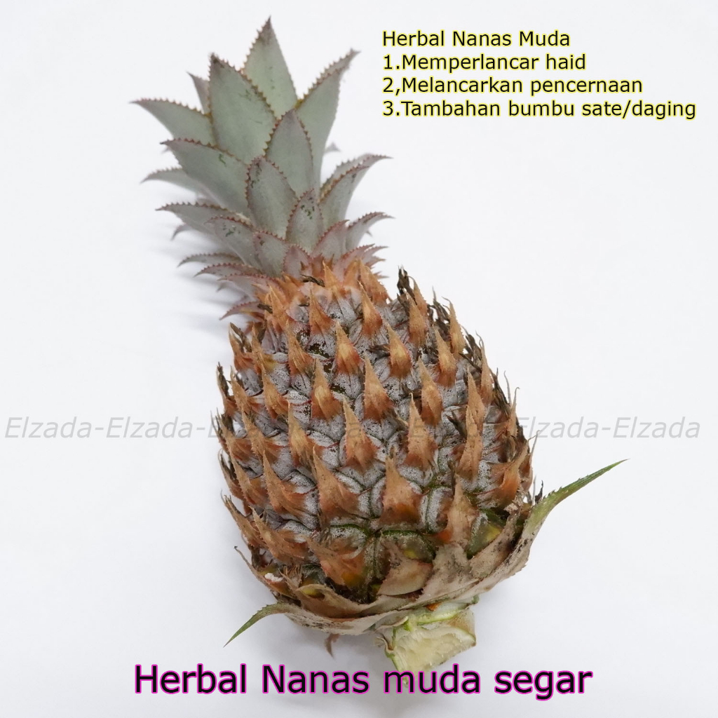 

NANAS MU-DA FRESH PER BUAH