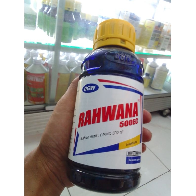 INSEXTISIDA RAHWANA 500 EC