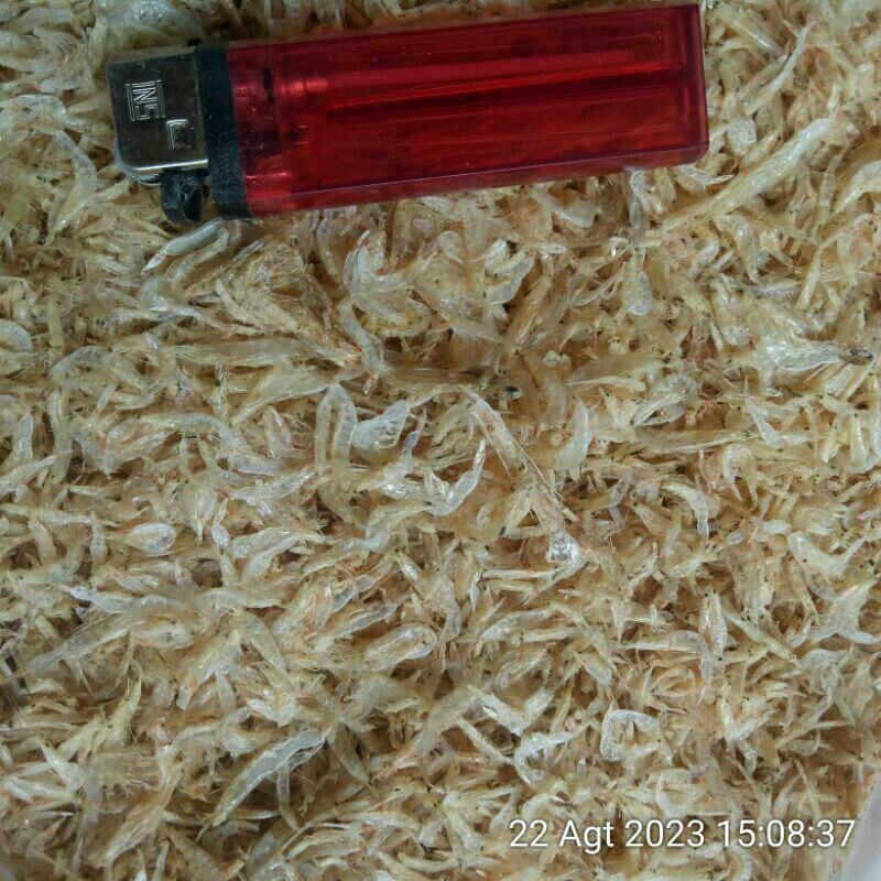 

Rebon tawar kering / udang kecil