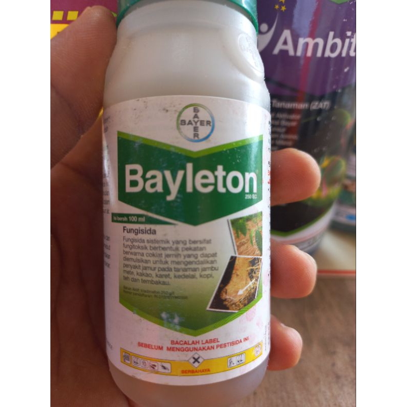 Fungisida Bayleton 250 EC 100 ml