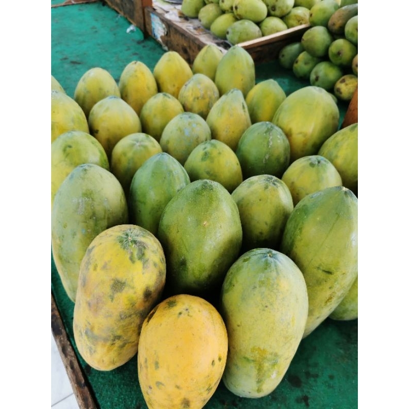 

Buah Pepaya California Manis Ukuran berat 1 - 1,3 kg