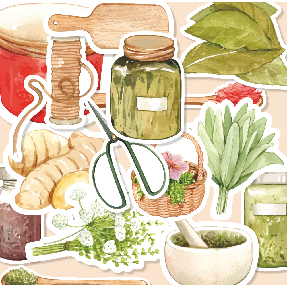 

(20 pcs) HERBAL-watercolor/random stiker satuan/stiker kartun lucu/random/murah/stiker satuan/murah/animal lucu