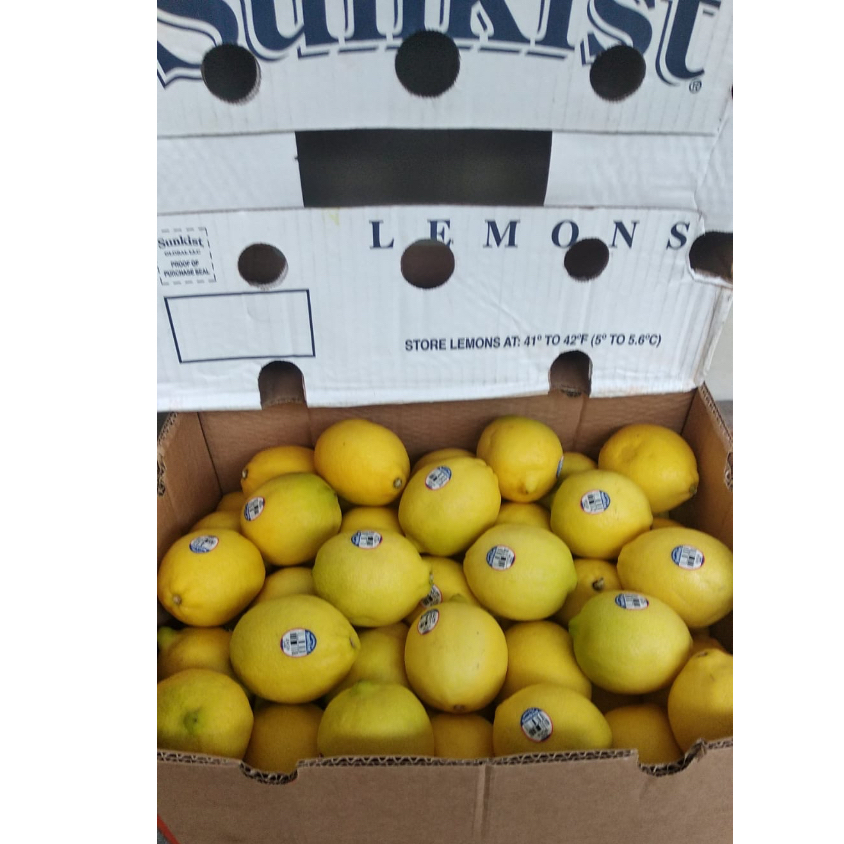 

JERUK LEMON AFRICA FRESH IMPORT PER KG