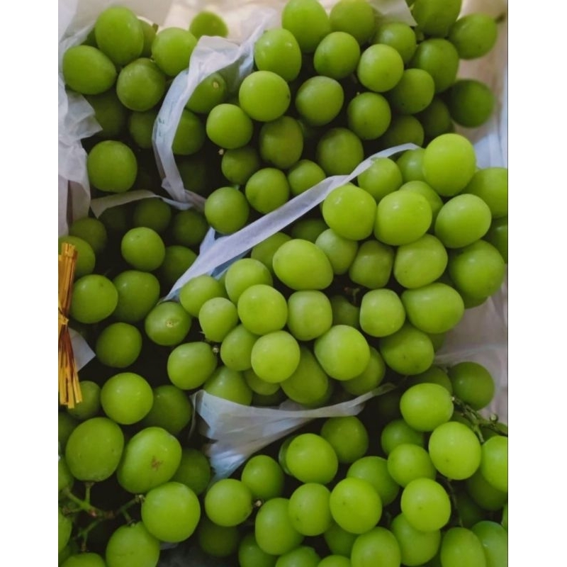 

Anggur Hijau Muscat Curah 500gr (manis)