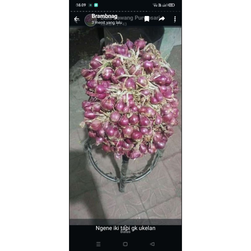 

bawang merah