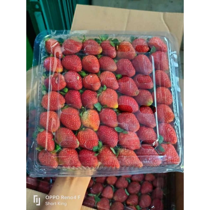 

strawberry fresh jumbo 1kg