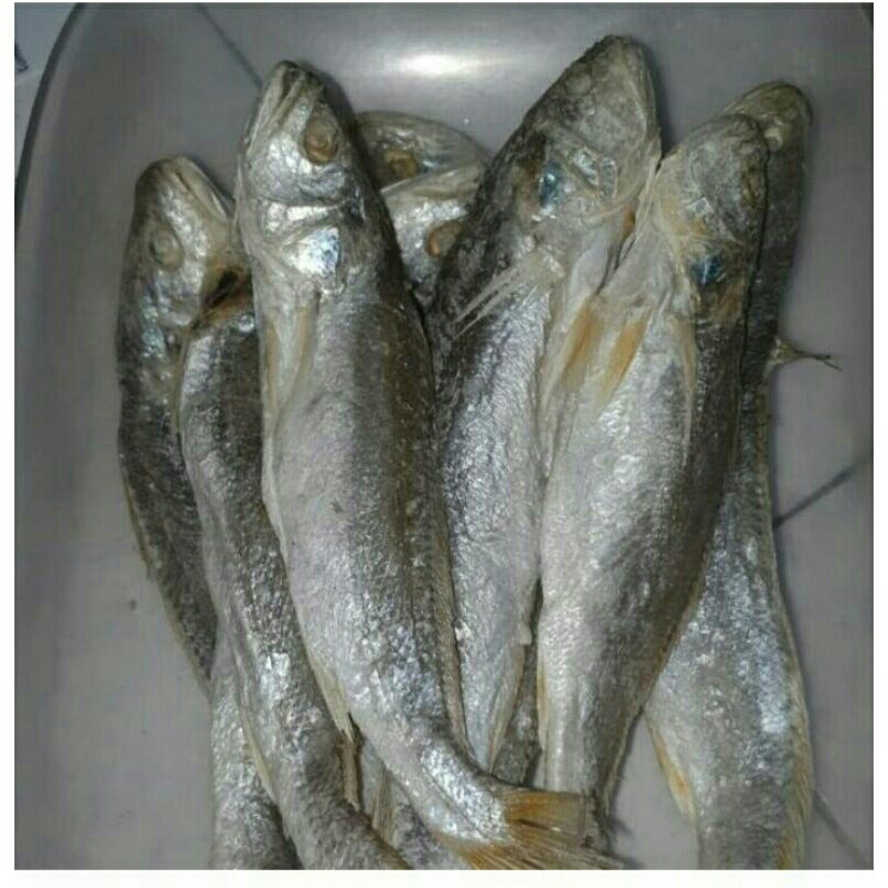 

Sangge medan 500 Gram