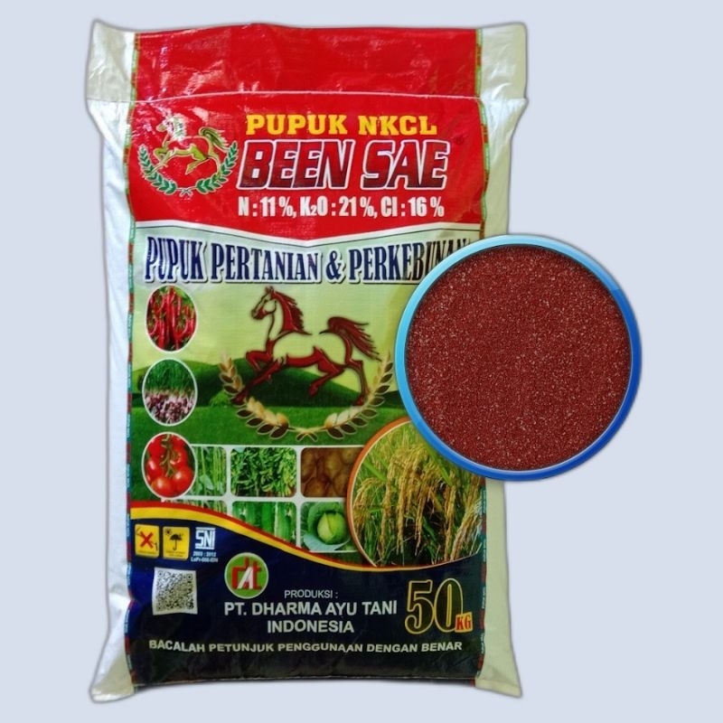 PUPUK NKCL/KCL BEEN SAE [1KG]