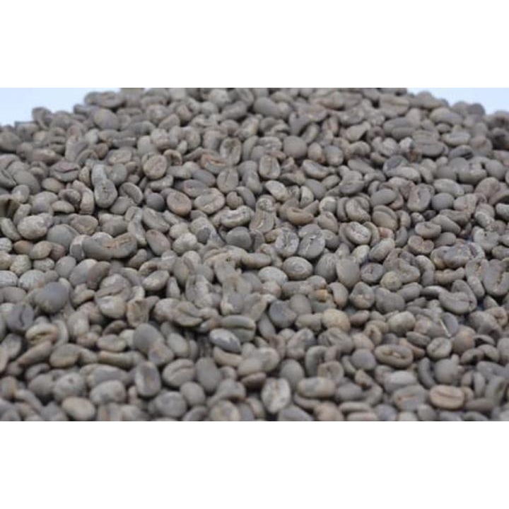 KOPI BIJI ARABICA 100% LUWAK LIAR JAWA GREENBEAN BIJI KOPI MENTAH 1 KG