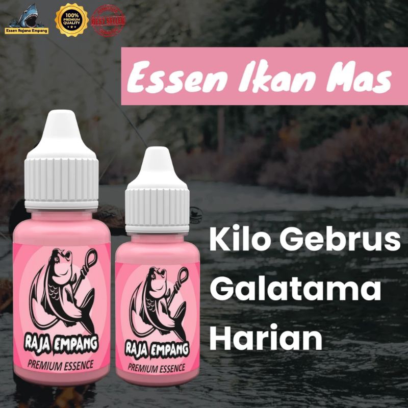 Essen Umpan Pancing Ikan Mas Paling Bagus Buat Lomba , Essen Ikan Mas Babon
