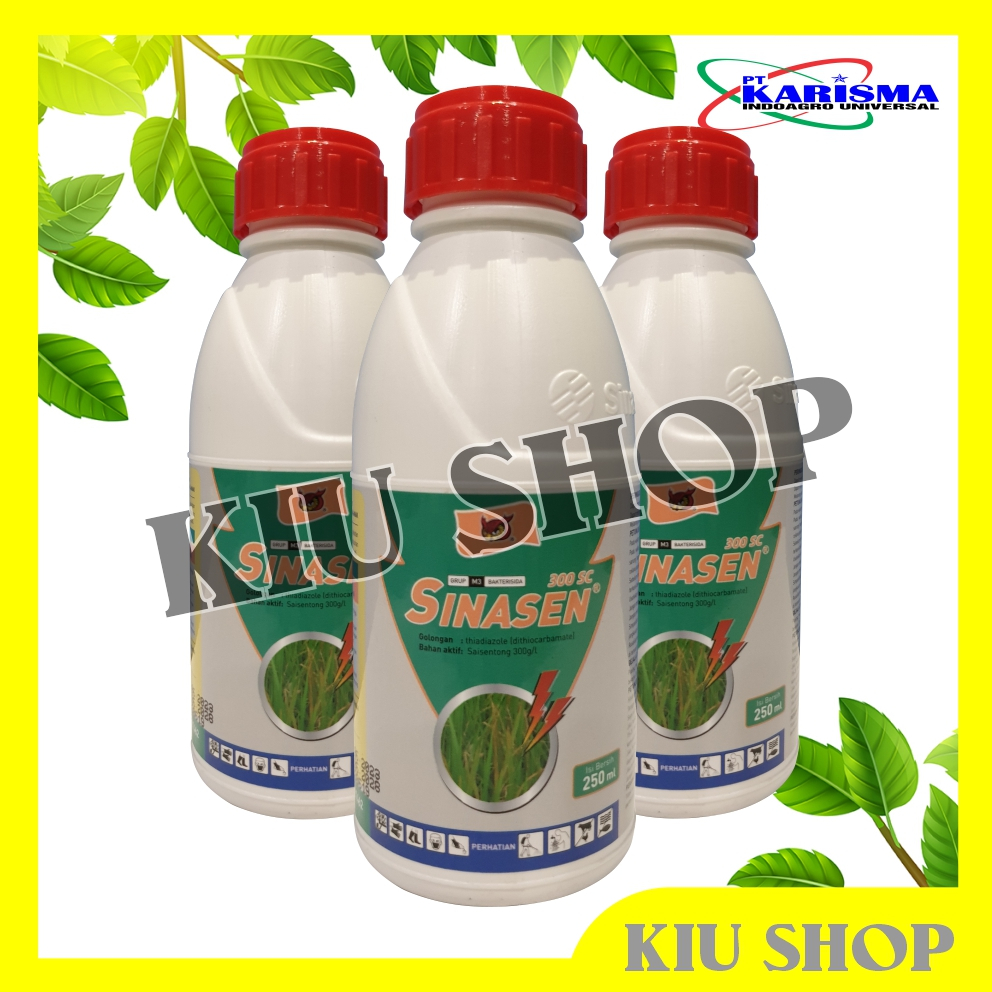 Grosir / SINASEN 300 SC - 250ml / Bakterisida Hawar Daun Padi