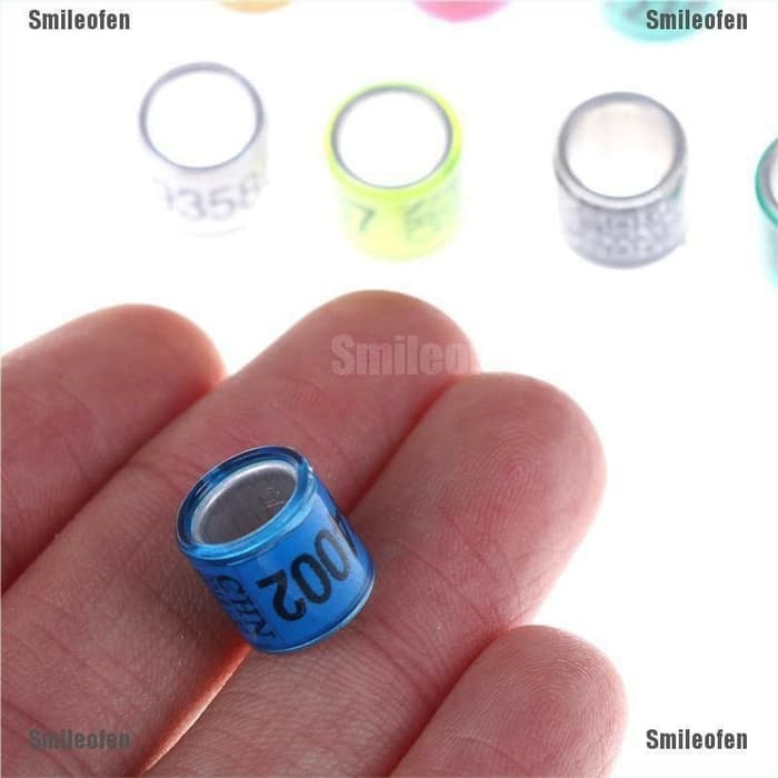 5pcs Ring Burung Dara Import