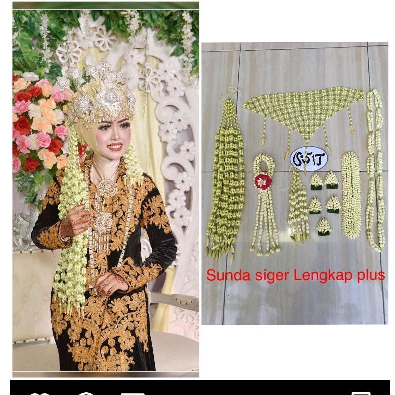 Melati penganten SUNDA SIGER Lengkap Plus, MELATI ASLI