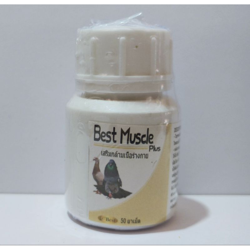 best muscle plus 50 butir vitamin suplemen pembentukan otot merpati