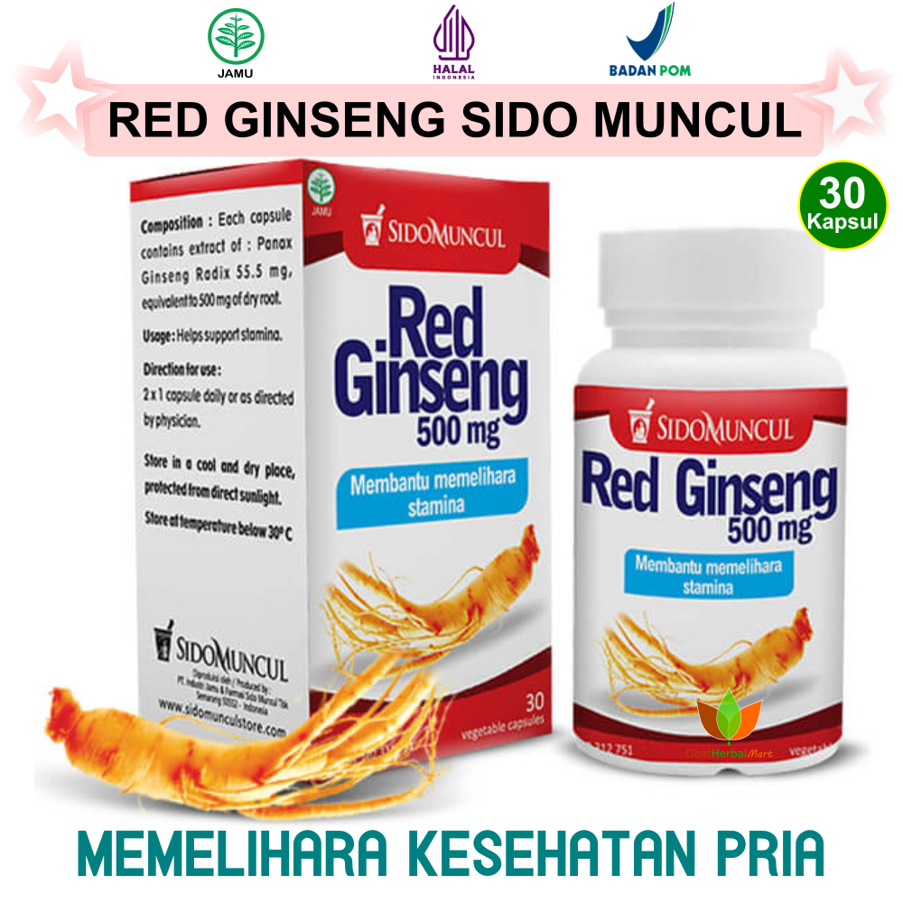 30 KAPSUL RED GINSENG SIDOMUNCUL GINSENG MERAH KOREA OBAT STAMINA PRIA DEWASA JAMU HERBAL GINGSENG V