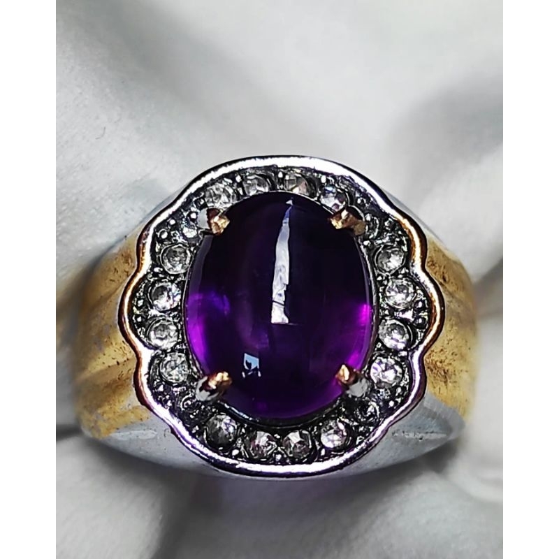 KECUBUNG UNGU TERONG KECUBUNG UNGU KALIMANTAN