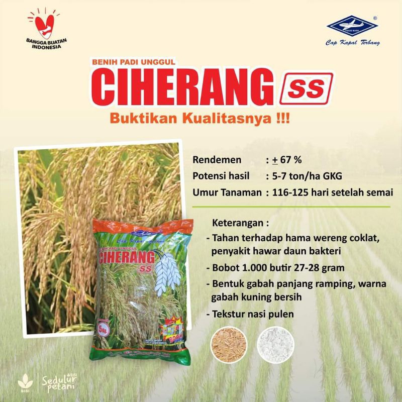 benih padi ciherang ss cap kapal terbang