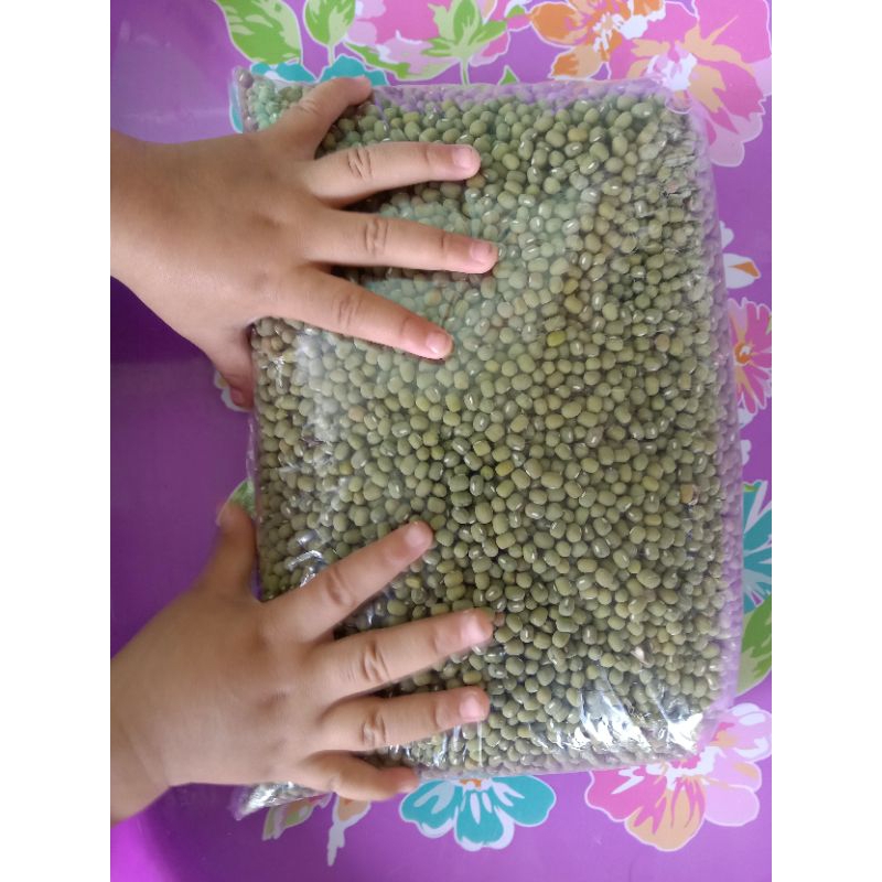 

kacang hijau baru panen (500 gram)