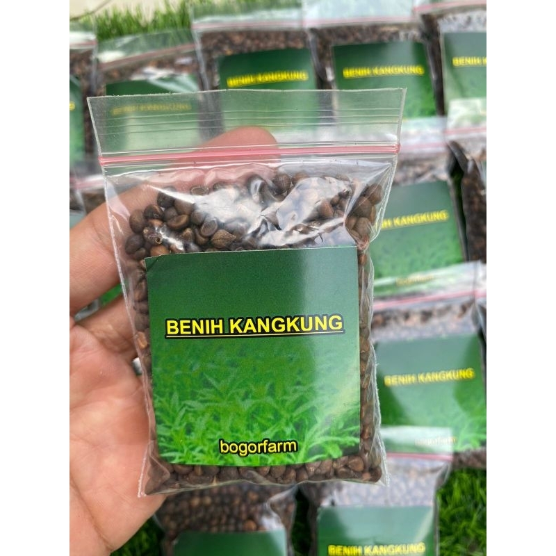 BENIH KANGKUNG SUPER 300 BENIH | SAYUR KANGKUNG | 100% KANGKUNG SUPER
