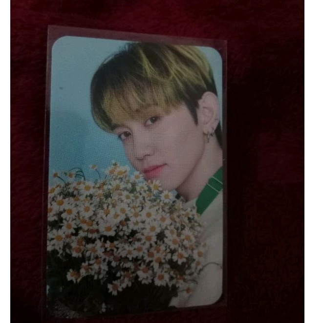 PC Official Mashiho Treasure