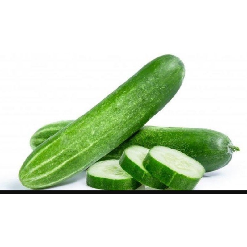 

ketimun