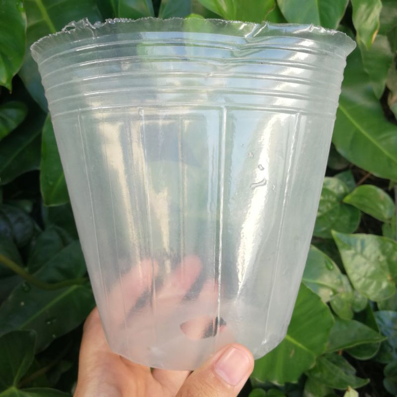 Pot Plastik Fleksibel Anggrek  8 x 8 (Isi 10pcs) Polypot Bening Pot Transparan Soft Anggrek
