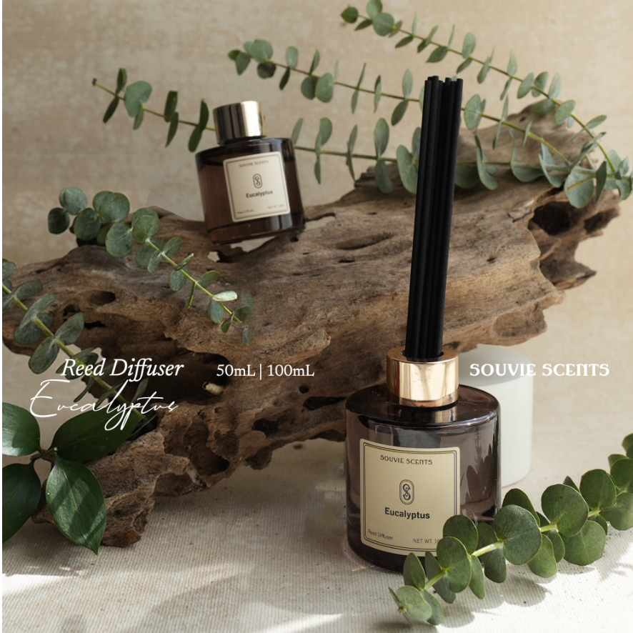 Reed Diffuser Set | Eucalyptus Aromaterapi Pengharum Ruangan 100mL  50mL - Souvie Scents