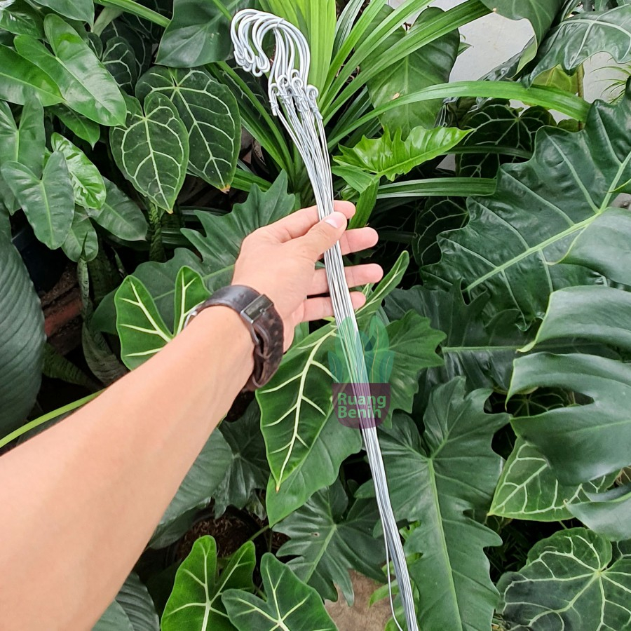 Kawat Pot Gantung Satuan Kawat Tali Gantung Pot Kawat Gantungan Pot