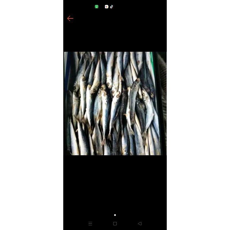 

ikan rebus sarden 250 gram