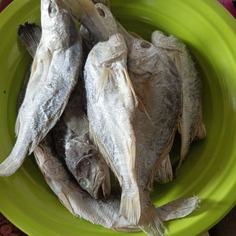 

ikan gelama batu 250 gram