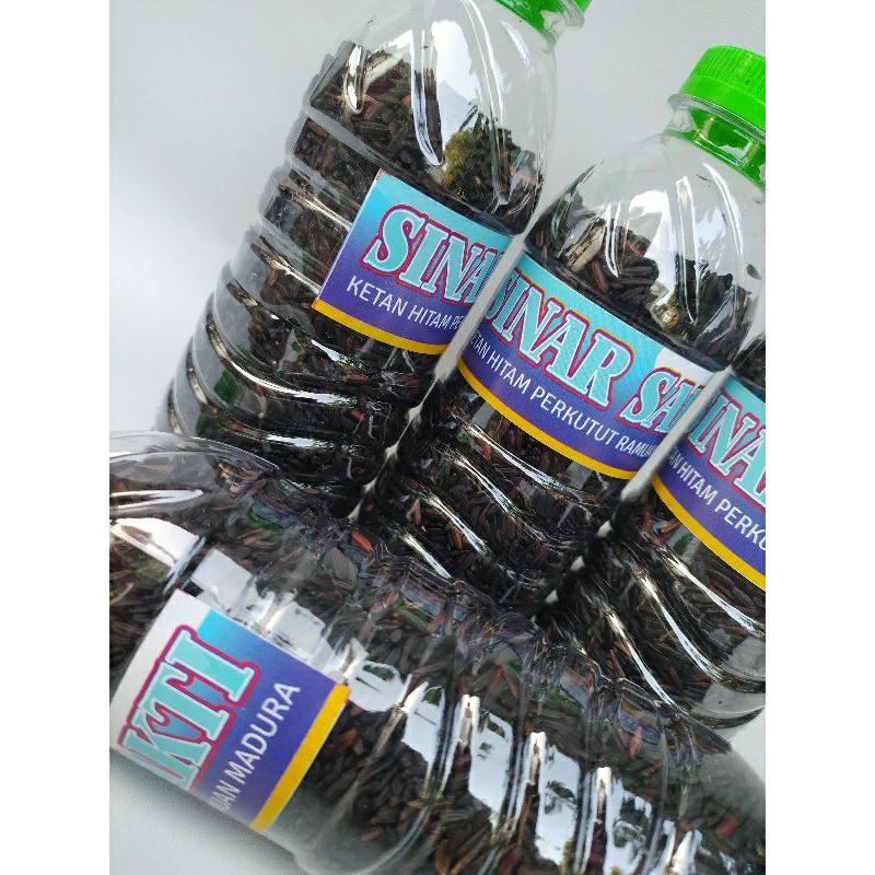KETAN HITAM | PAKAN BURUNG PERKUTUT | KETAN HITAM RACIKAN  MADURA