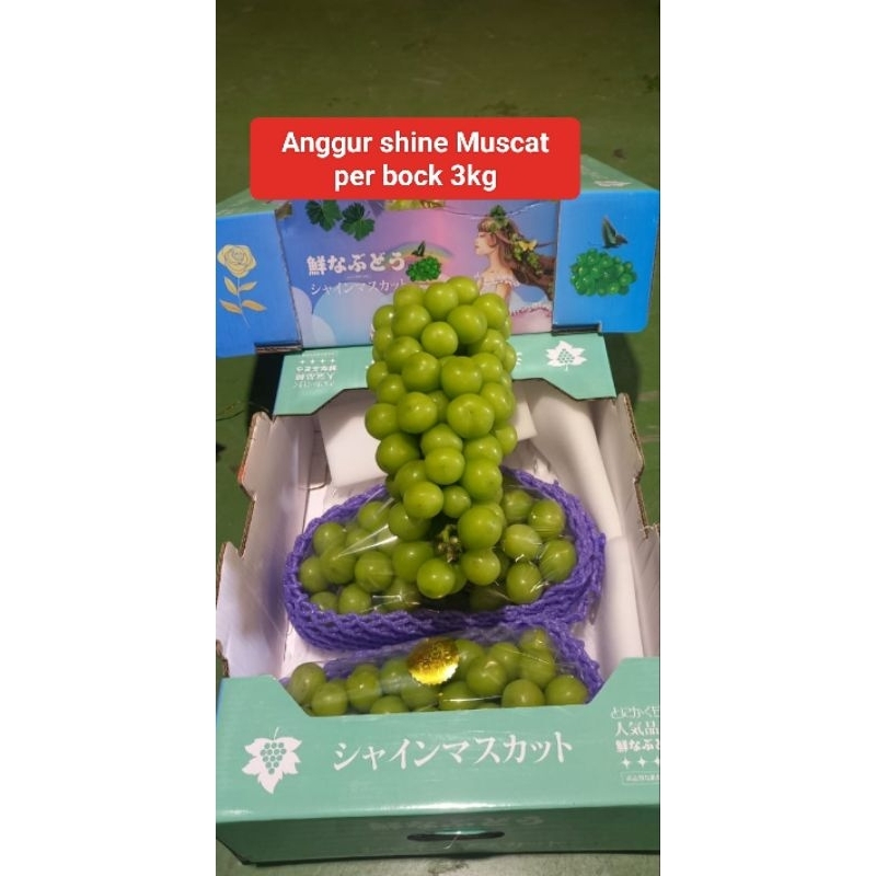 

anggur shine muscat fresh infort per pack 1kg buah