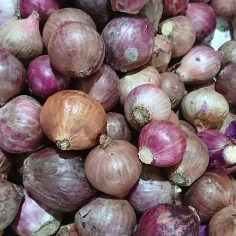 

SAYURAN BAWANG MERAH BIRMA HARGA KURANG LEBIH PER 300 GRAM