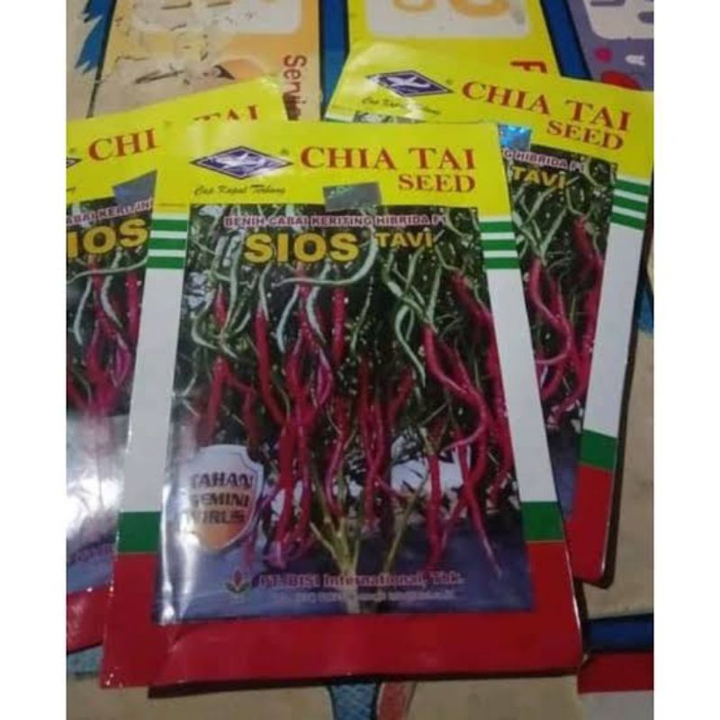 Benih Original CAP KAPAL TERBANG Hibrida F1 SIOS TAVI