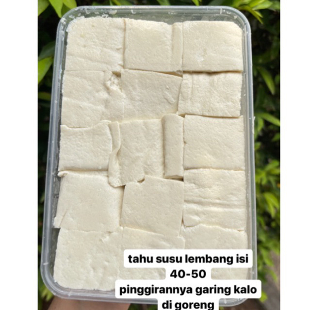 

TAHU SUSU LEMBANG BANDUNG isi 40-50 pcs