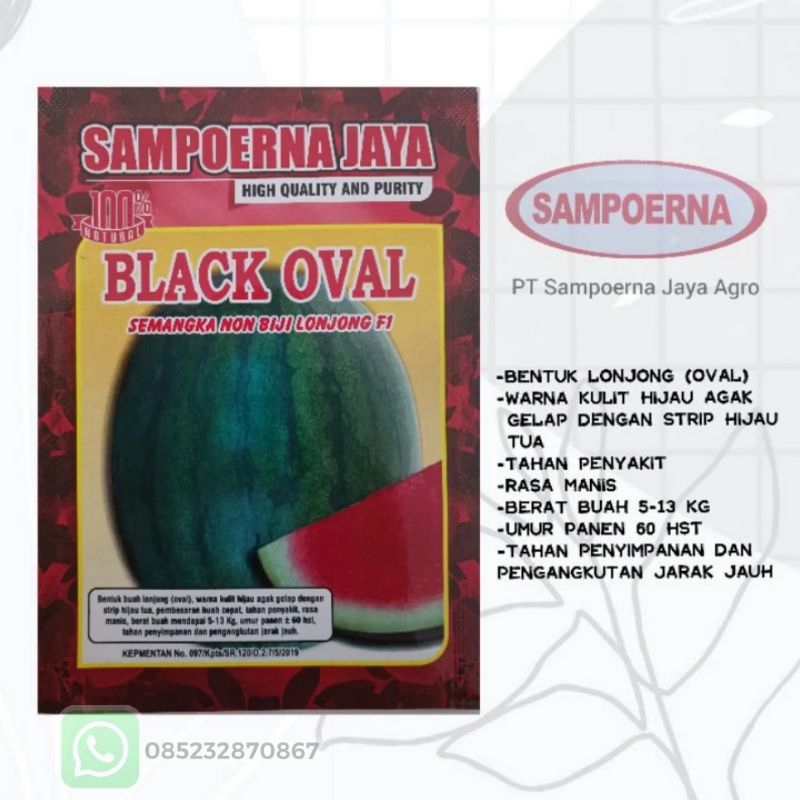 Benih Semangka Non Biji Lonjong black oval