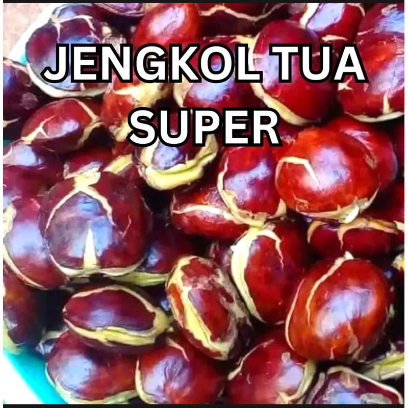 

jengkol tua murah 1 kg