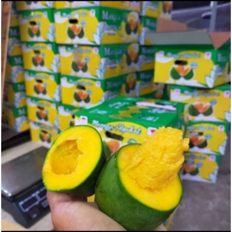 

Mangga harum manis [ mangga harum manis super ] 1 dus