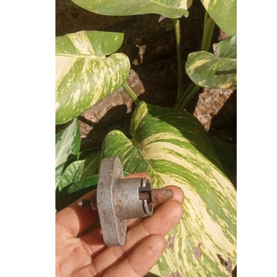 STUT TENSIONER STELAN RANTAI KAMPRAT TONJOKAN STUT STELAN KAMPRAT ORIGINAL SUDAH MODIF PNP GL MP TIG