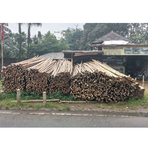 Bambu esteiger/ diameter 6-7 cm panjang 6,5 meter/ minimal pemesanan 100btg
