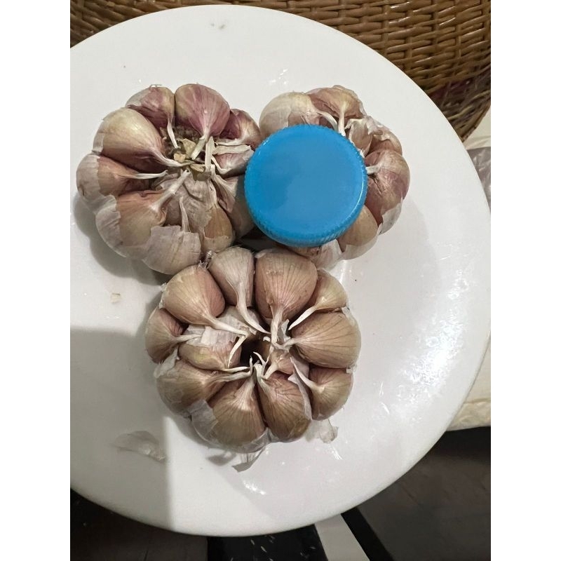 

bwng merah putih