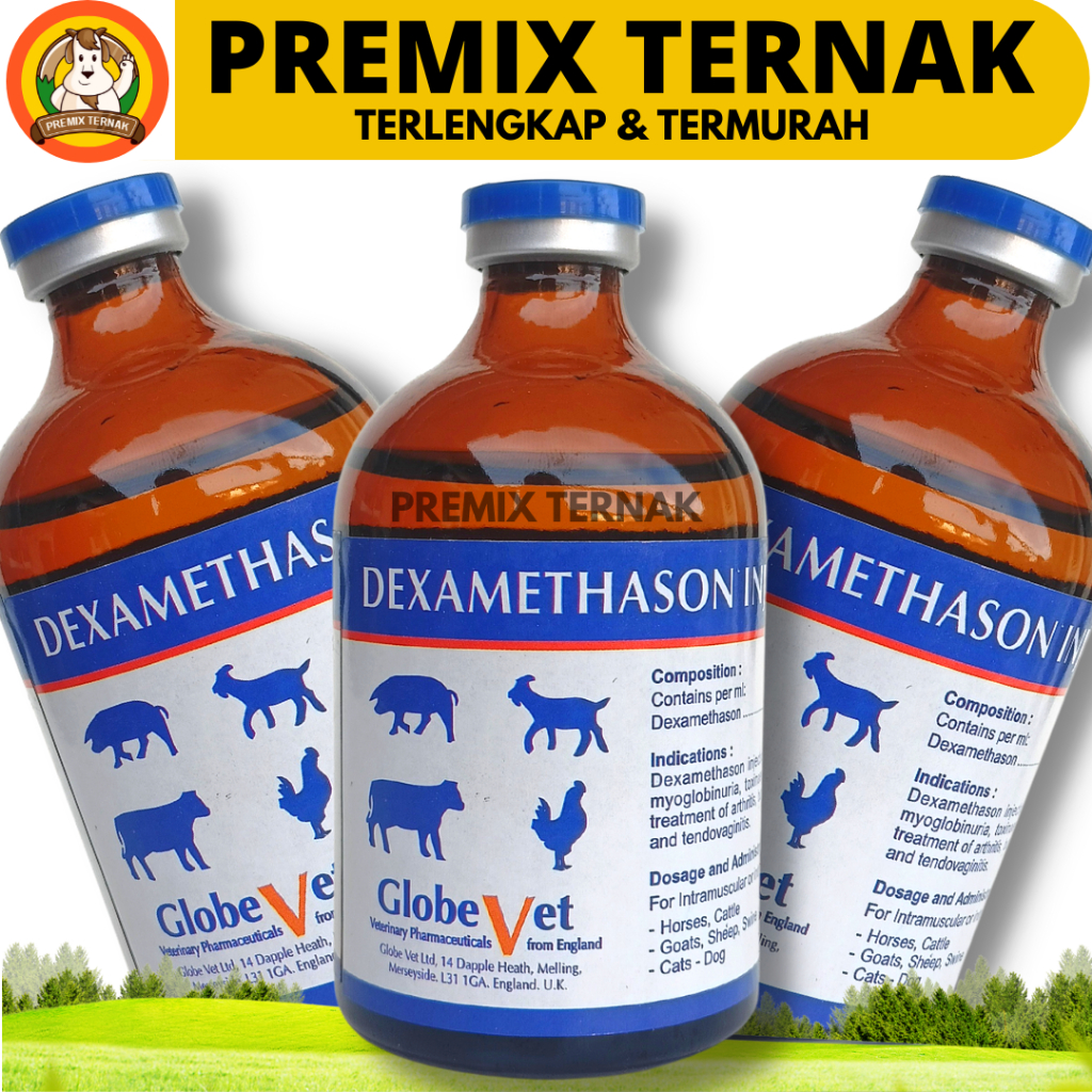 DEXA GLOBE VET 100 ml - DEXAMETHASON PANTEX HOLLAND