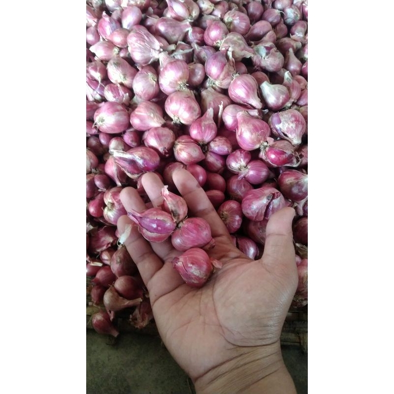 

bawang merah SUPER Kering asli nganjuk 500 gr