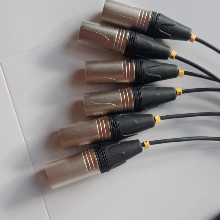 Kabel SNAKE isi 6 / Kabel SNAKE 6ch XLR male - female - 10 Meter