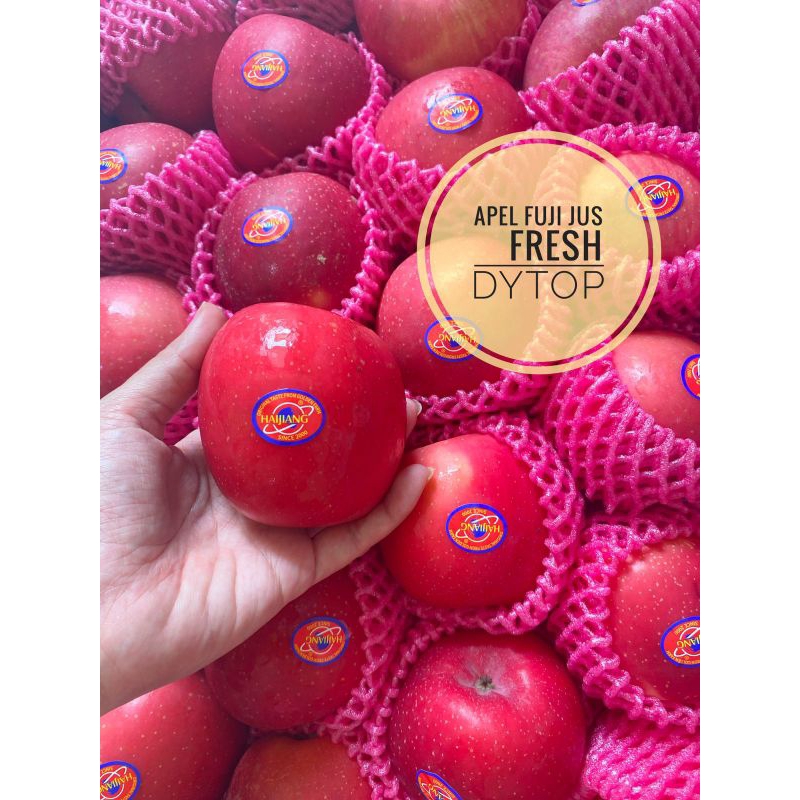 Buah Apel FUJI Manis Garing Fresh Segar - 1 Kg