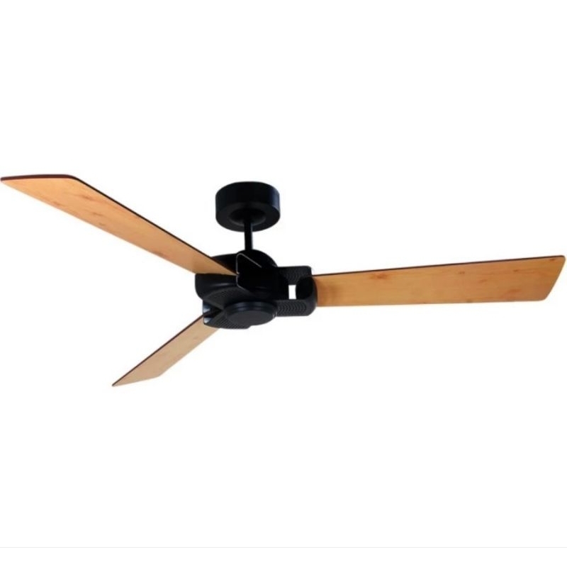 Ceiling Fan Edma Otten 60inch