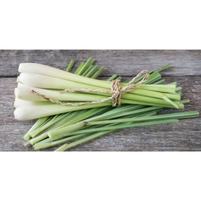 

Serai dapur, serai putih 1Kg