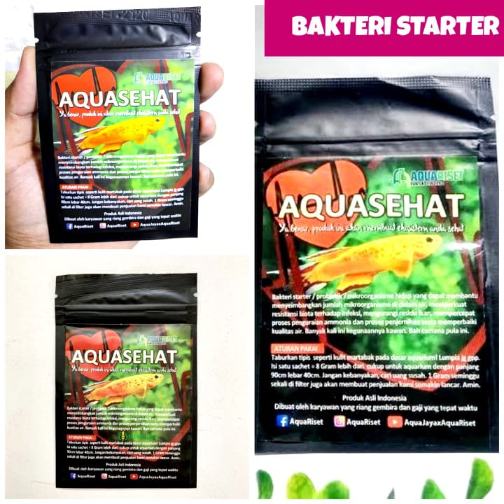 bakteri starter aquarium kolam koi aquasehat aquascape