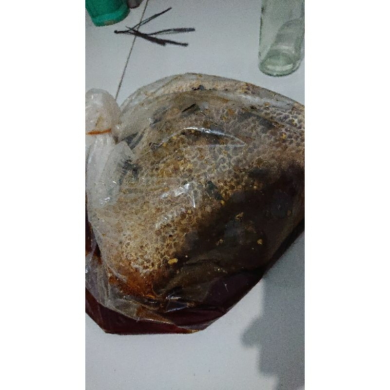 

Madu sialang
